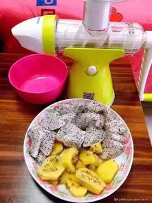 果語榨汁機廠家直銷 享受正品批發價格，輕松制作健康蔬菜汁